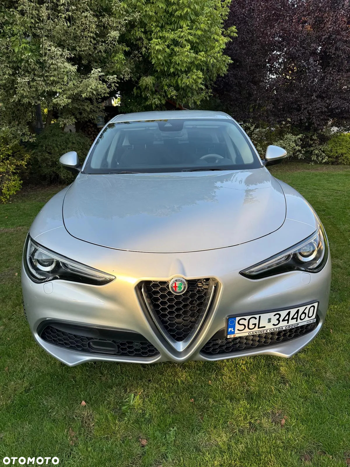 Alfa Romeo Stelvio - 2