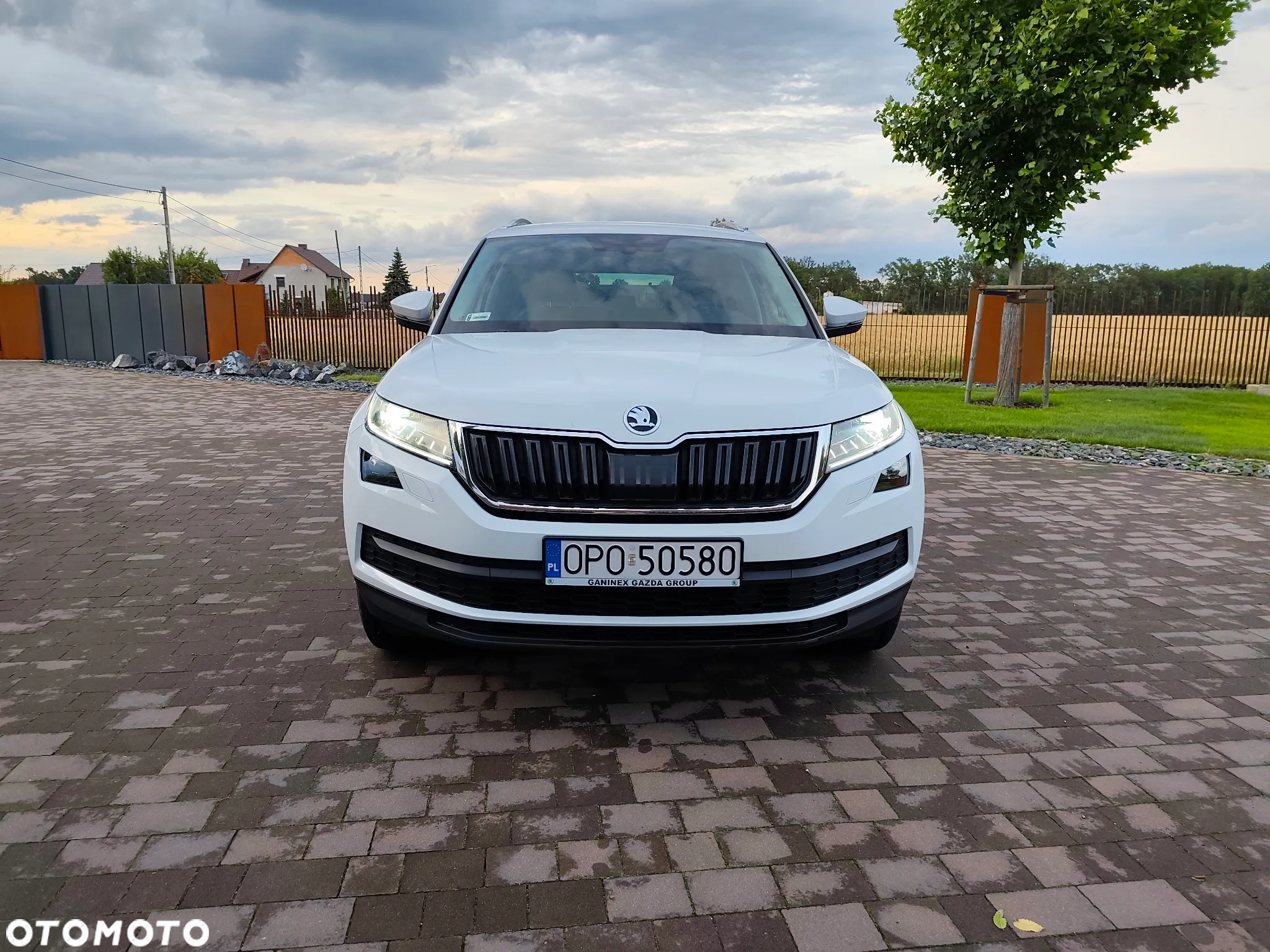 Skoda Kodiaq 2.0 TDI 4x4 Business DSG - 6