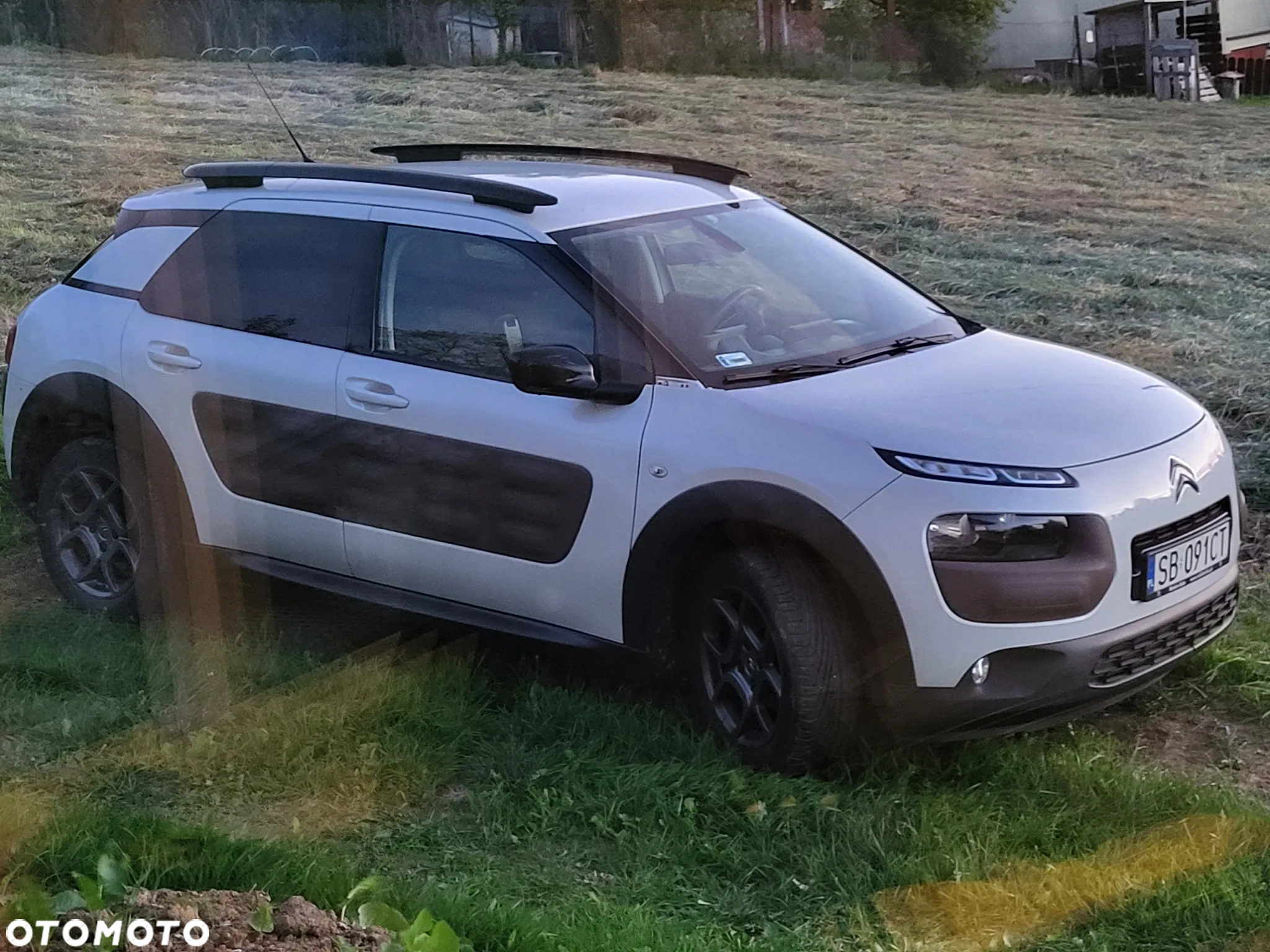 Citroën C4 Cactus - 9