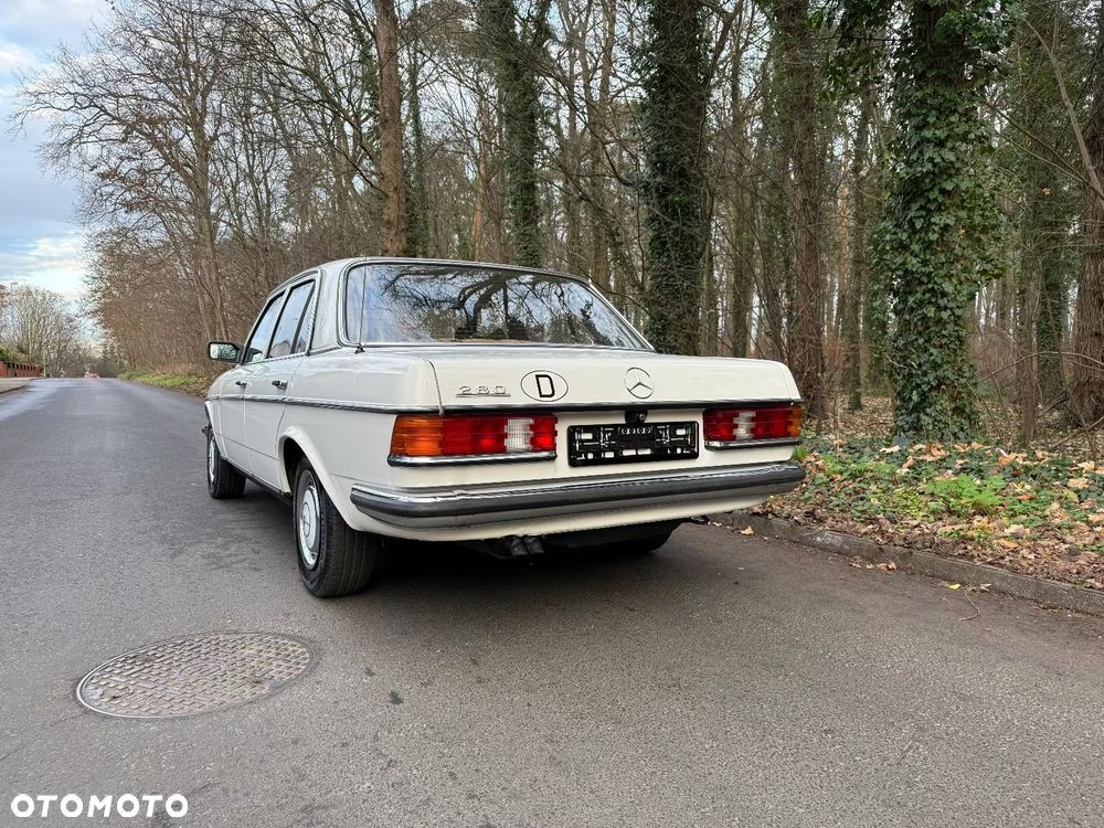 Mercedes-Benz W123 - 8