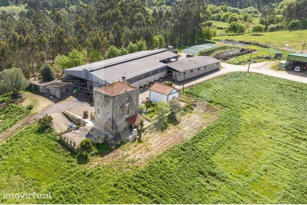 Quinta Torre de Penafiel, com 17 hectares e parecer favorável para emp - Grande imagem: 3/36