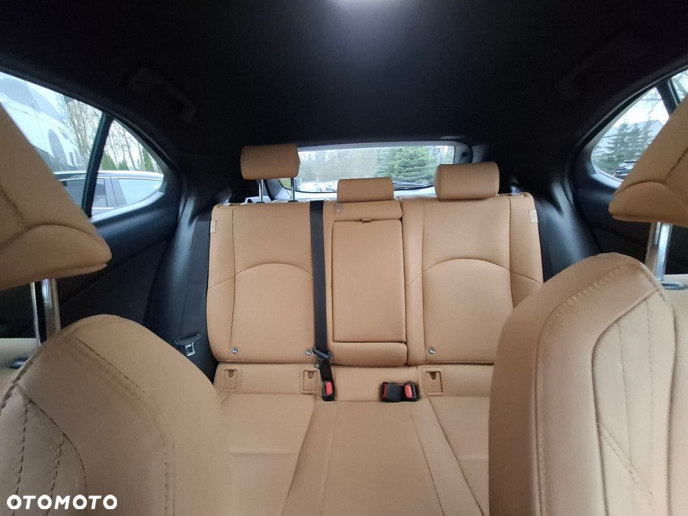 Lexus UX 250h GPF F Sport Design 2WD - 36