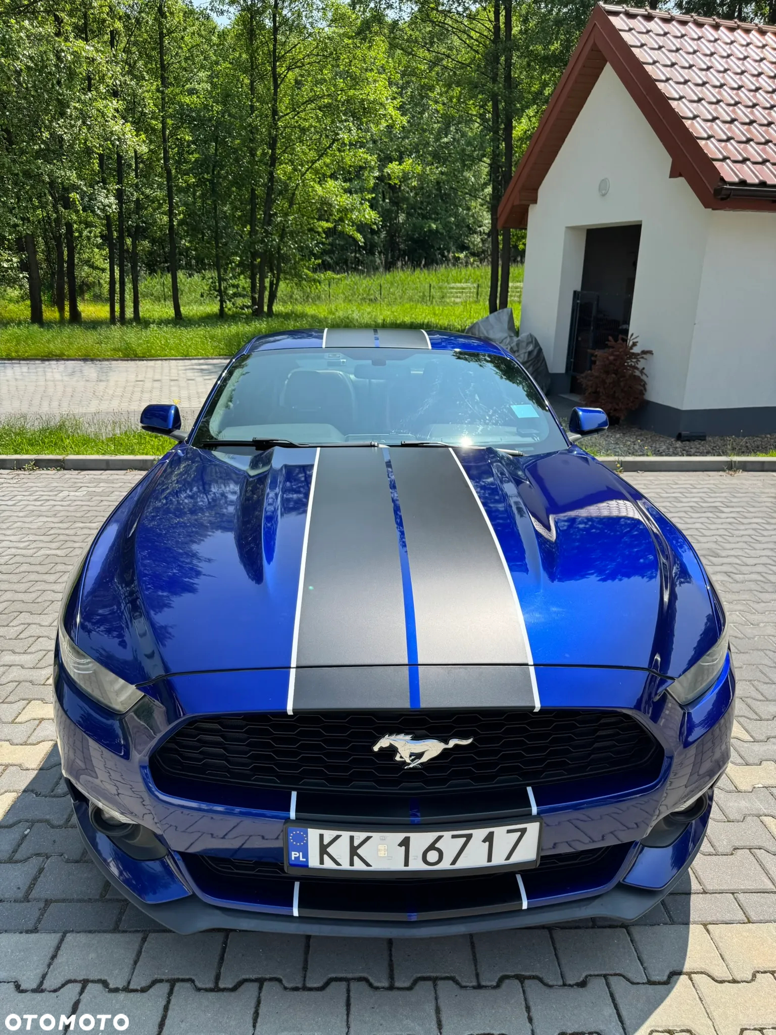 Ford Mustang 2.3 EcoBoost - 5