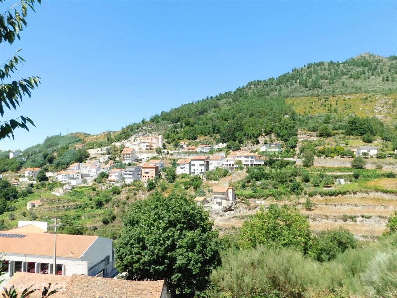 Terreno Urbano / Seia, Loriga - Grande imagem: 3/4