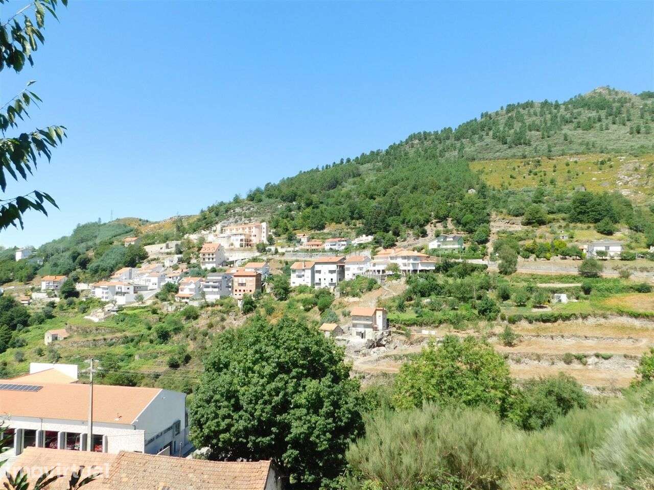 Terreno Urbano / Seia, Loriga - Grande imagem: 3/4