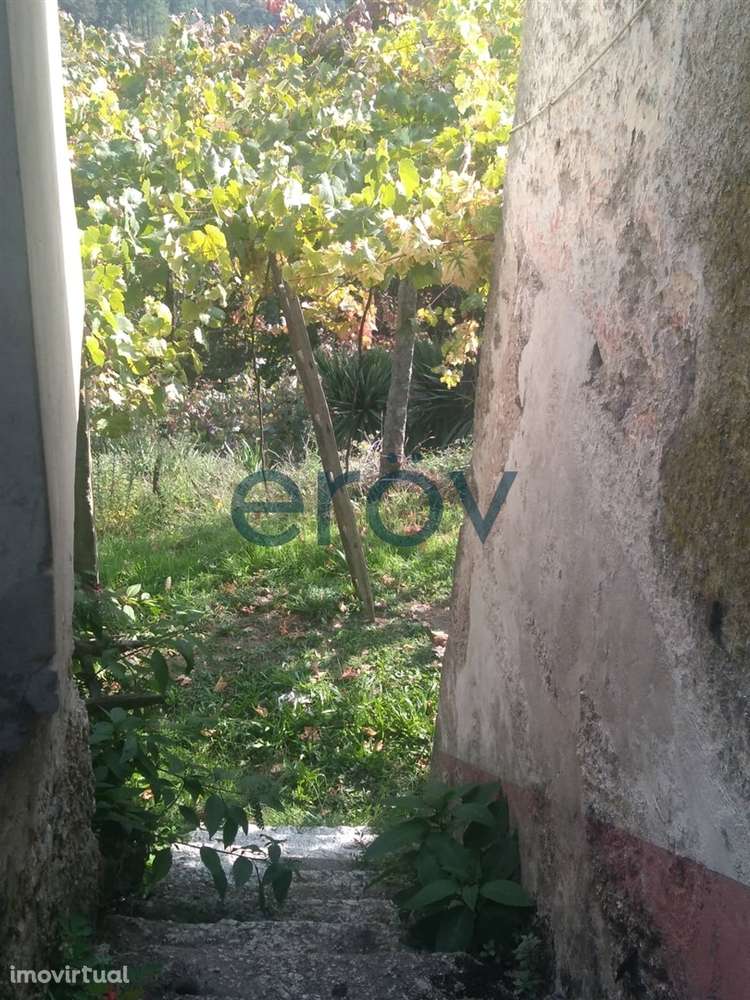 Quinta em Gémeos - Celorico de Basto - Grande imagem: 3/8