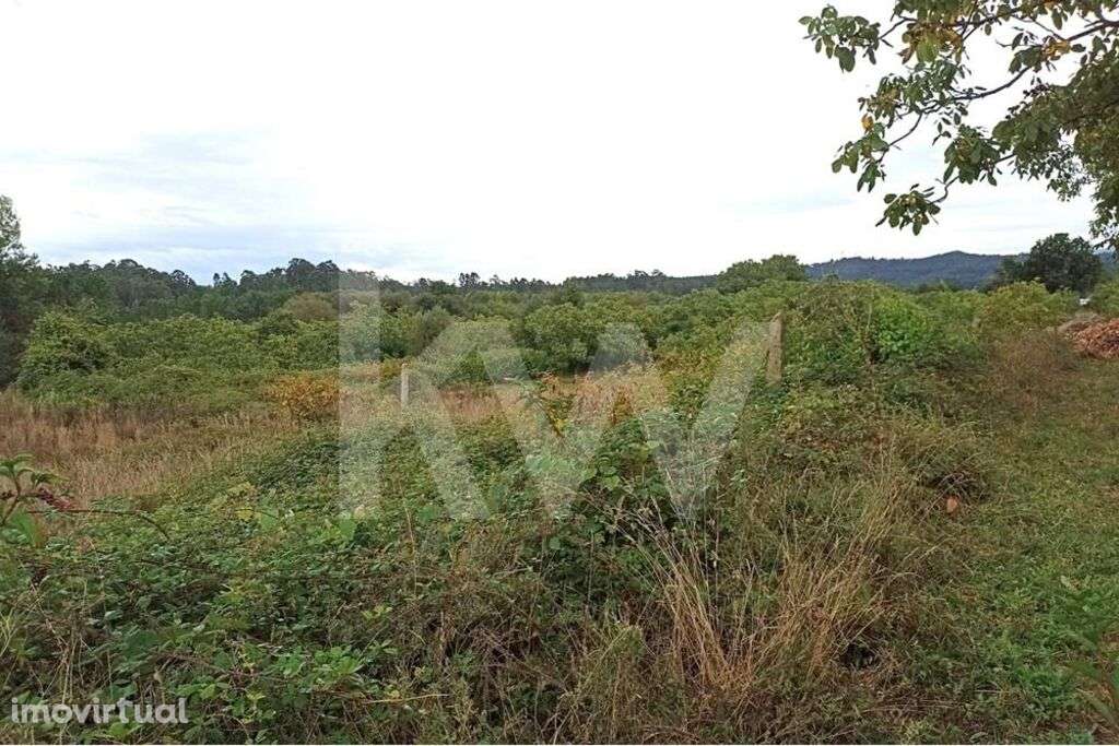 Terreno agrícola em Carvalhais, São Pedro do Sul - Grande imagem: 2/9