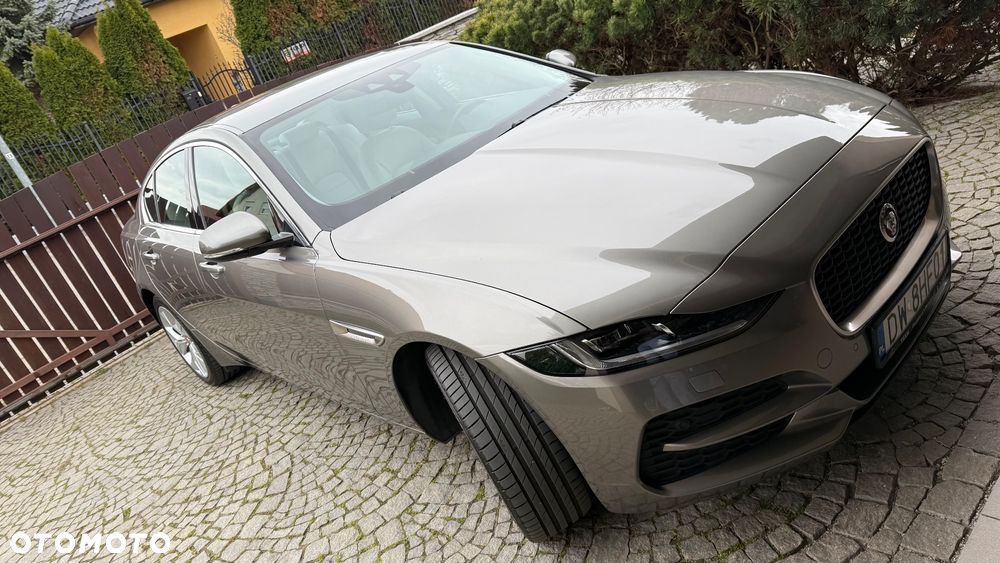 Jaguar XE - 13