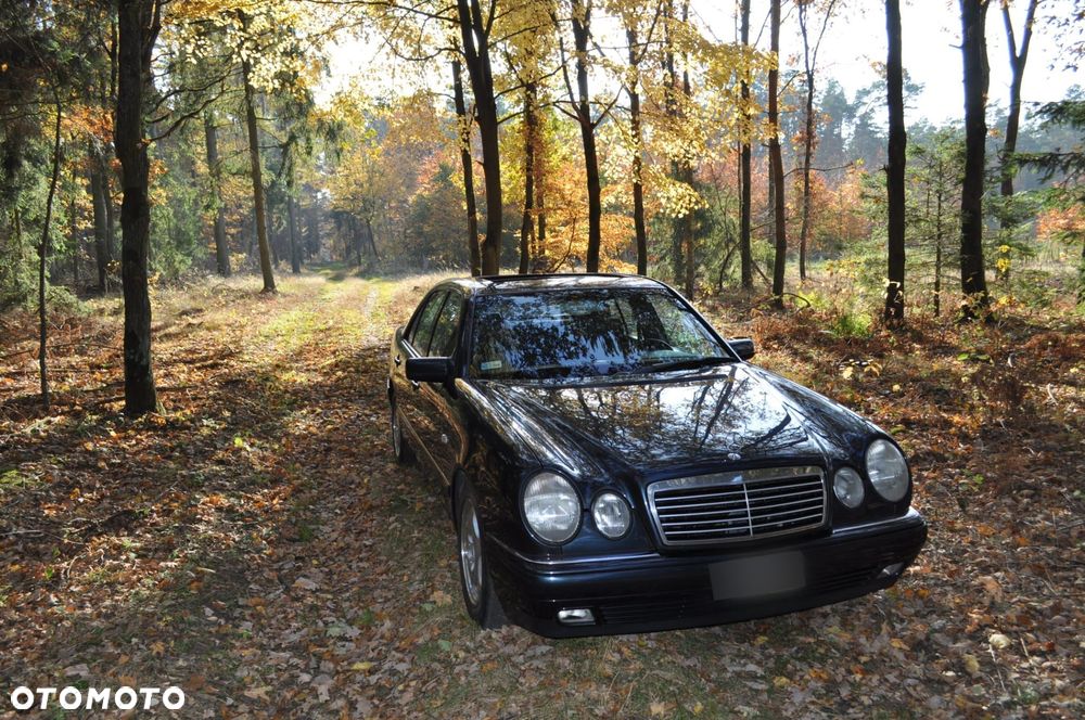 Mercedes-Benz Klasa E 320 T 4 Matic Avantgarde - 12