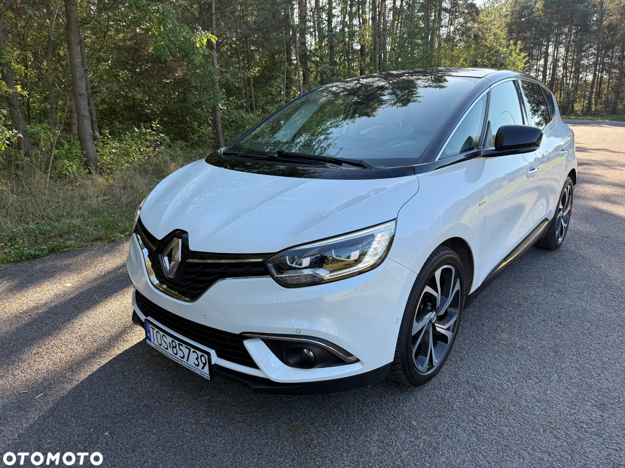 Renault Scenic - 3