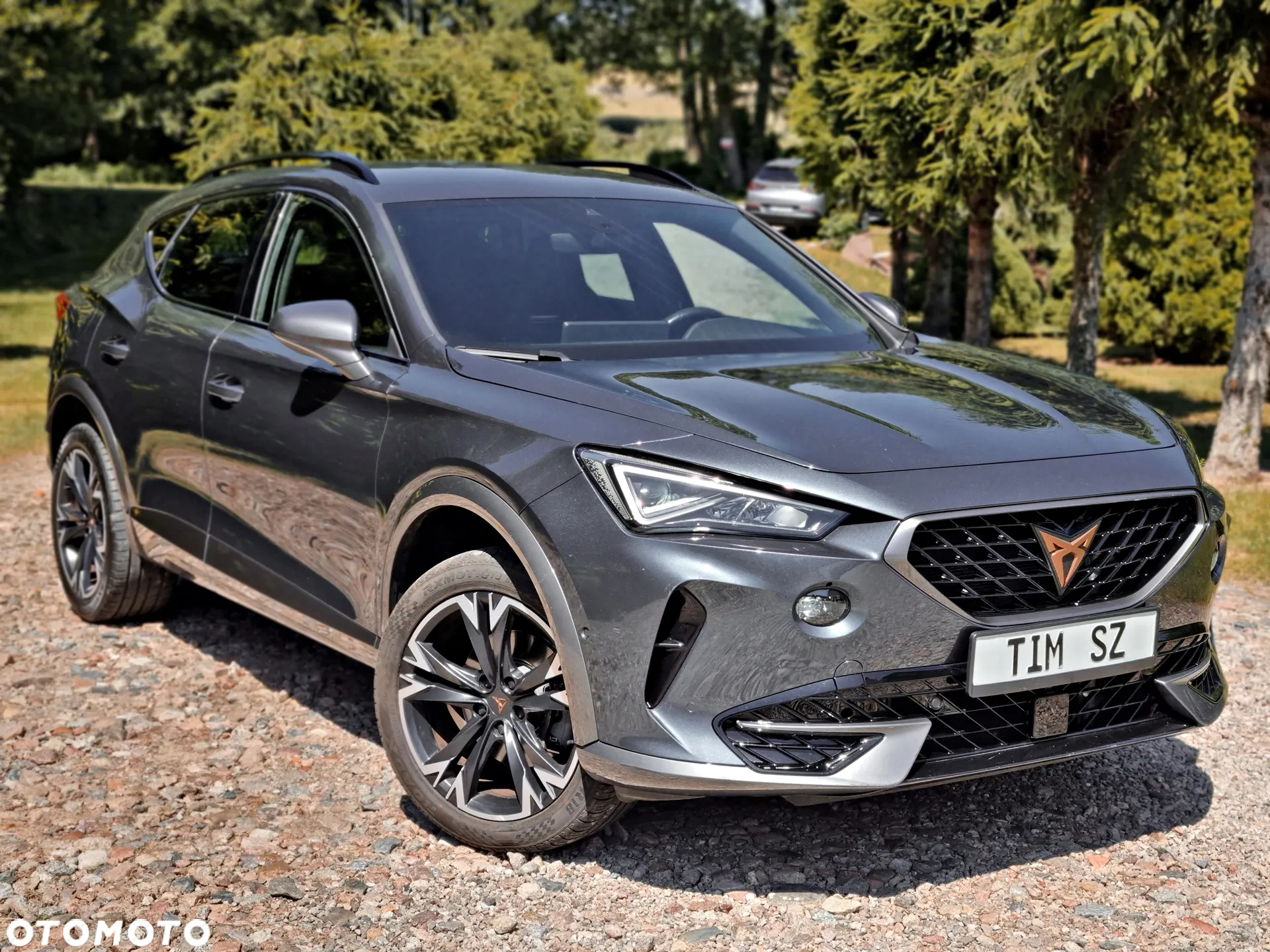 Cupra Formentor 2.0 TDI - 9