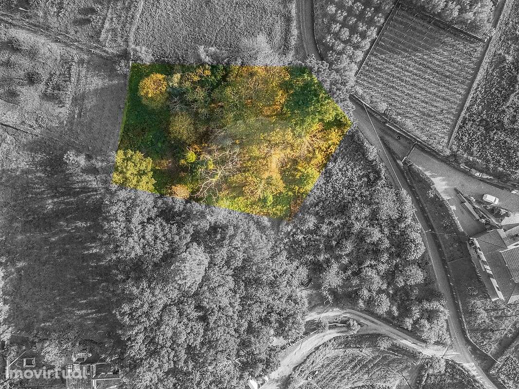 Terreno  para venda - Grande imagem: 2/29