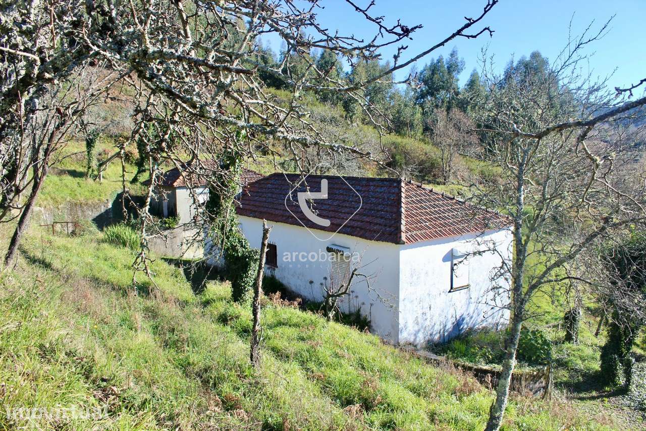 Quintinha com dois edificados, 4800m2 de terreno, na freguesia de Insa - Grande imagem: 2/45