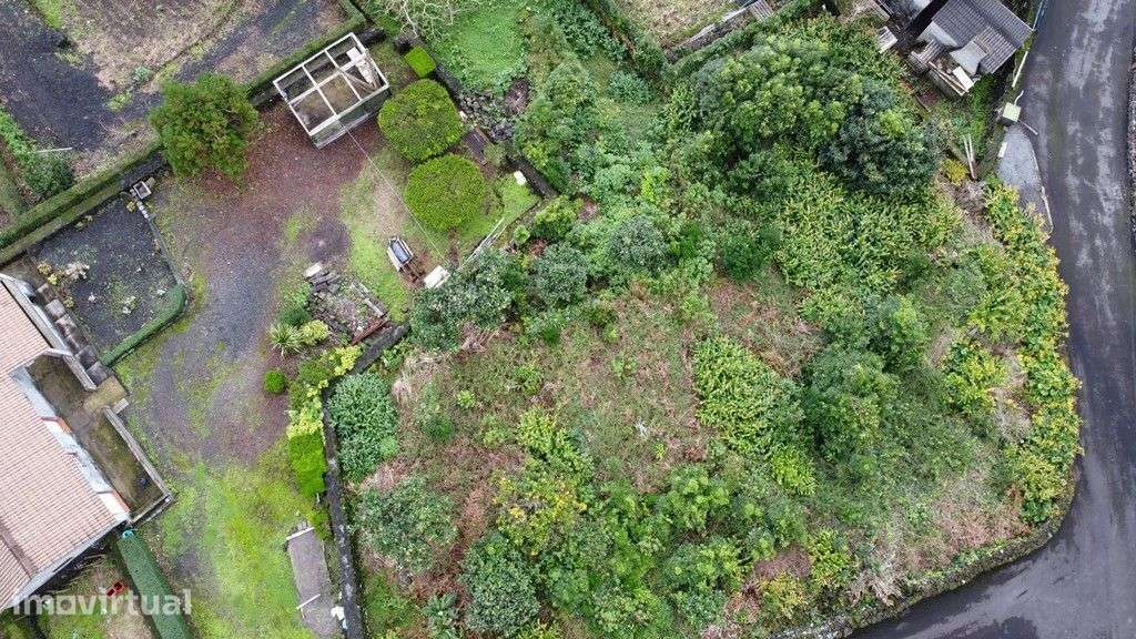 Terreno Lindo no Pico ( Baixa da Ribeirinha) - Grande imagem: 3/16