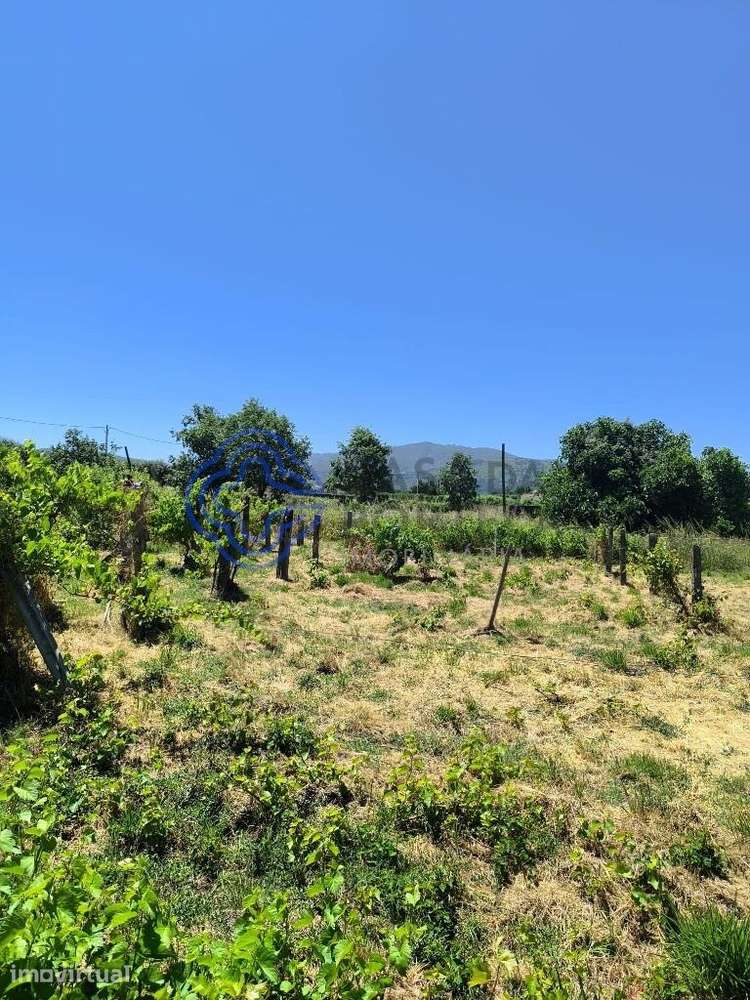 Quinta urbana com 5.000m2 no Fundão. Pode construir 250m2 implantação, - Grande imagem: 3/35