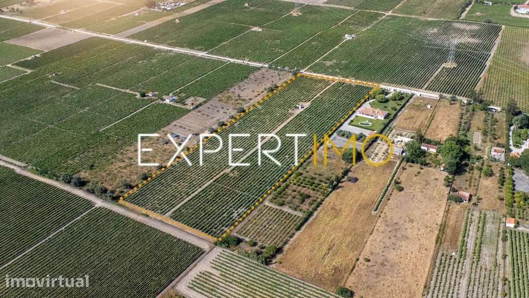 Terreno Rústico de 28.500 m² com vinha e potencial de construção - Grande imagem: 5/8