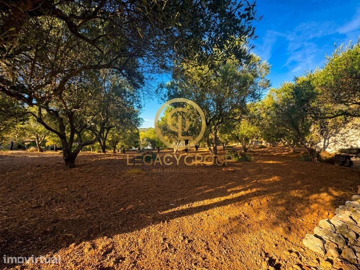 Terreno Agrícola Plano com Armazém, a 5 Minutos do Centro de Loulé - Grande imagem: 4/17