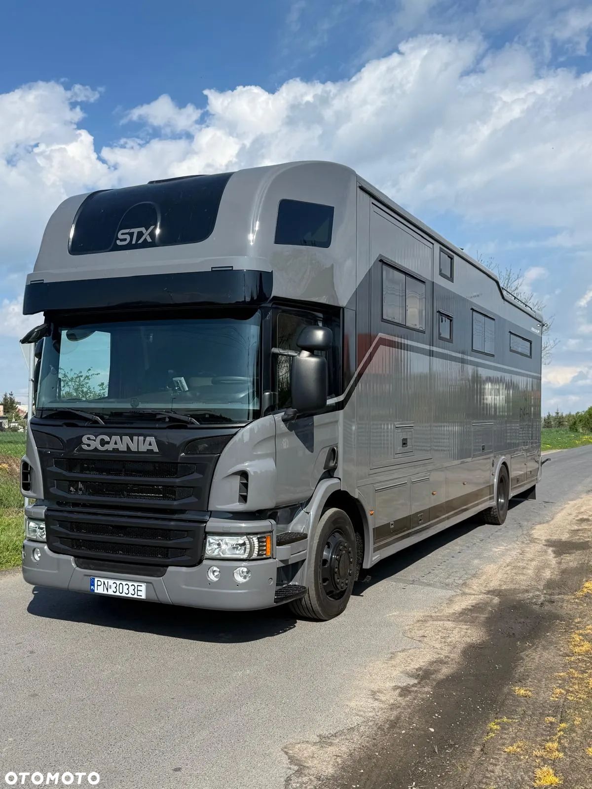 Scania Koniowóz STX P 380 2X POP OUT - 1