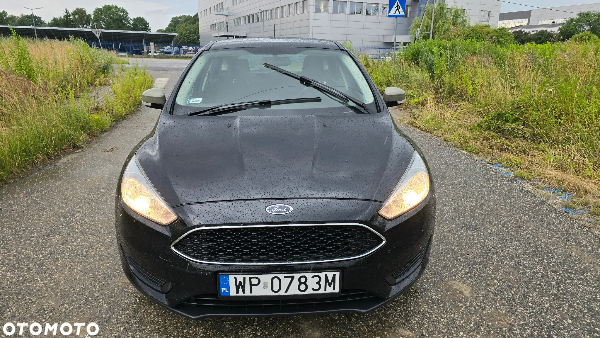 Ford Focus - 2