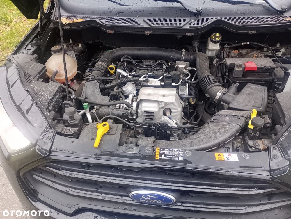 Ford EcoSport 1.0 EcoBoost ST-LINE - 14