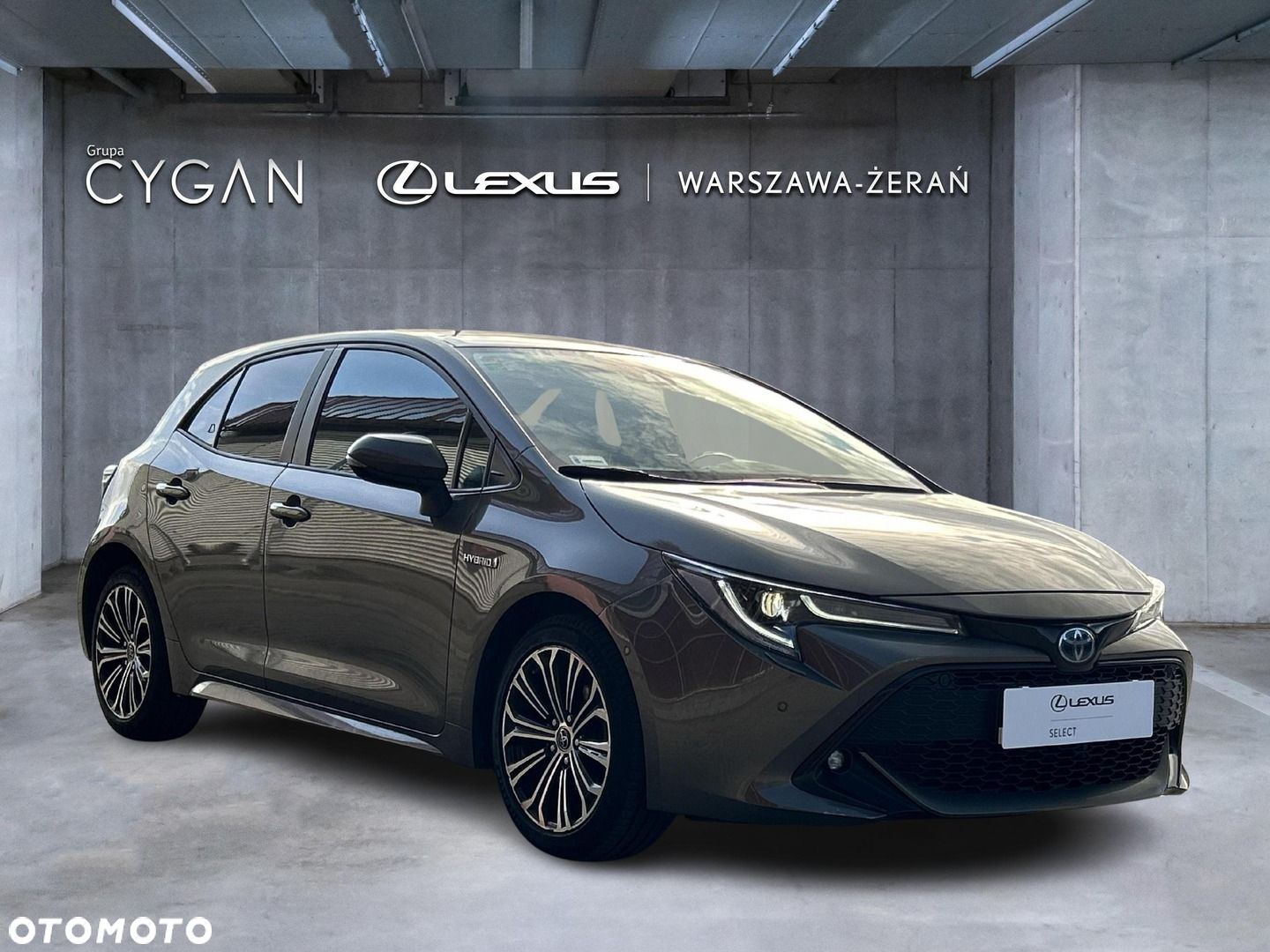 Toyota Corolla - 9