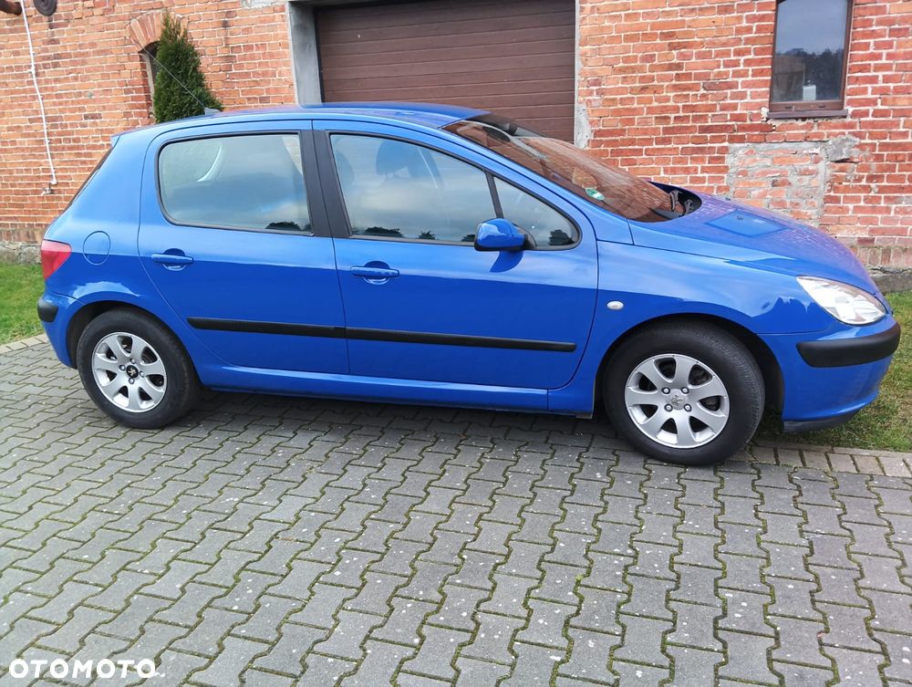 Peugeot 307 1.4 Mistral - 1