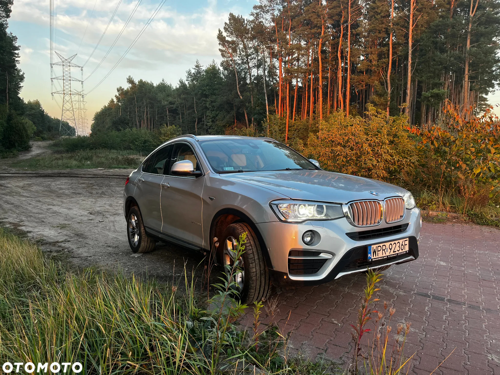 BMW X4 xDrive20d xLine - 5