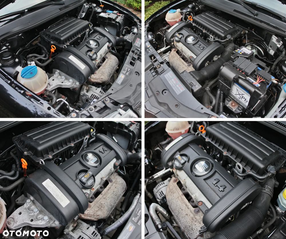 Seat Ibiza - 40