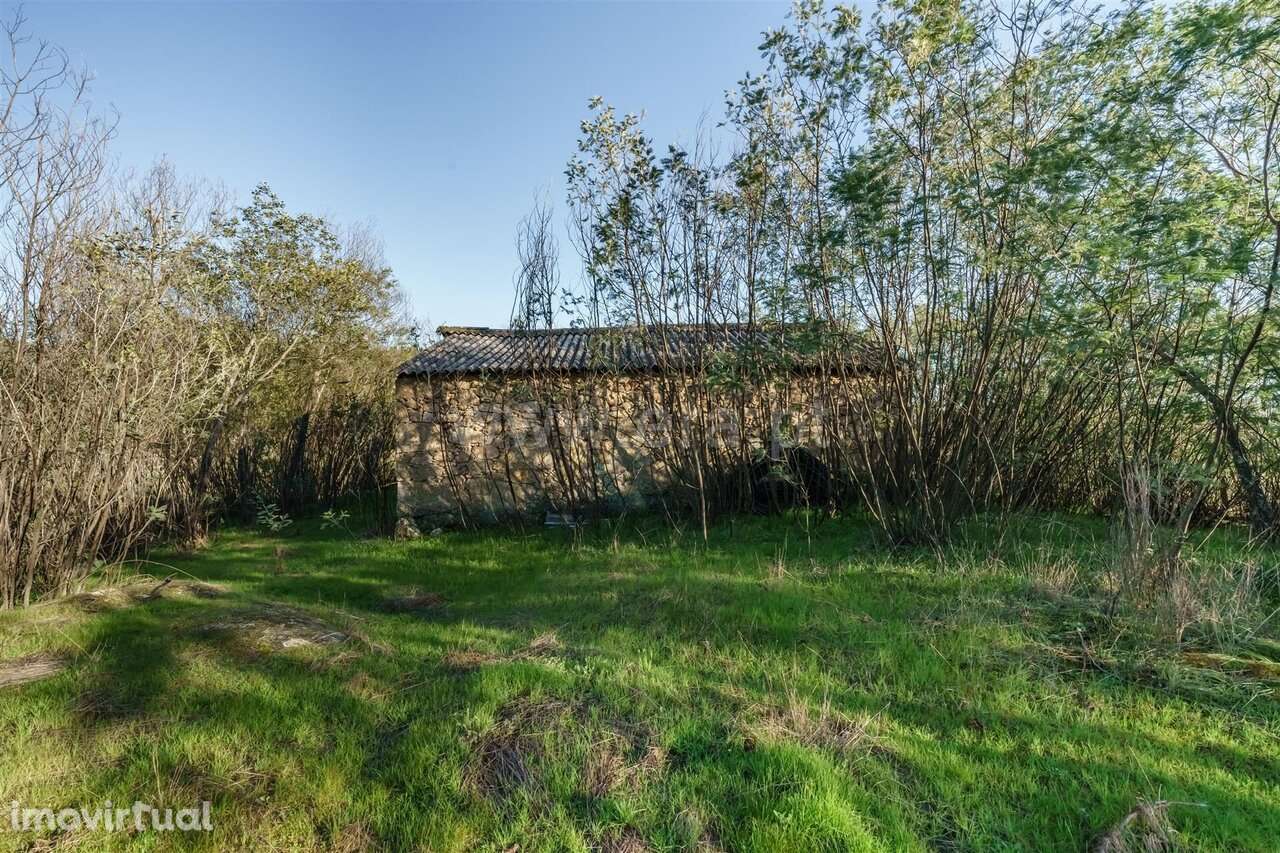 Quinta Estúdio / Covilhã, Orjais - Grande imagem: 4/20