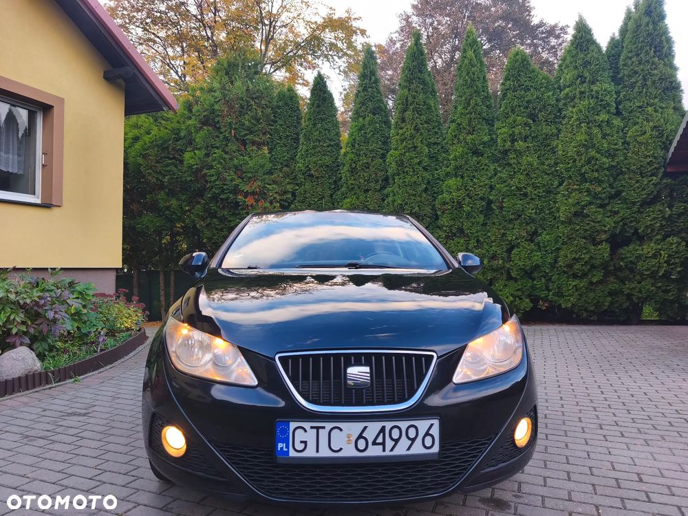 Seat Ibiza 2009 photo 2