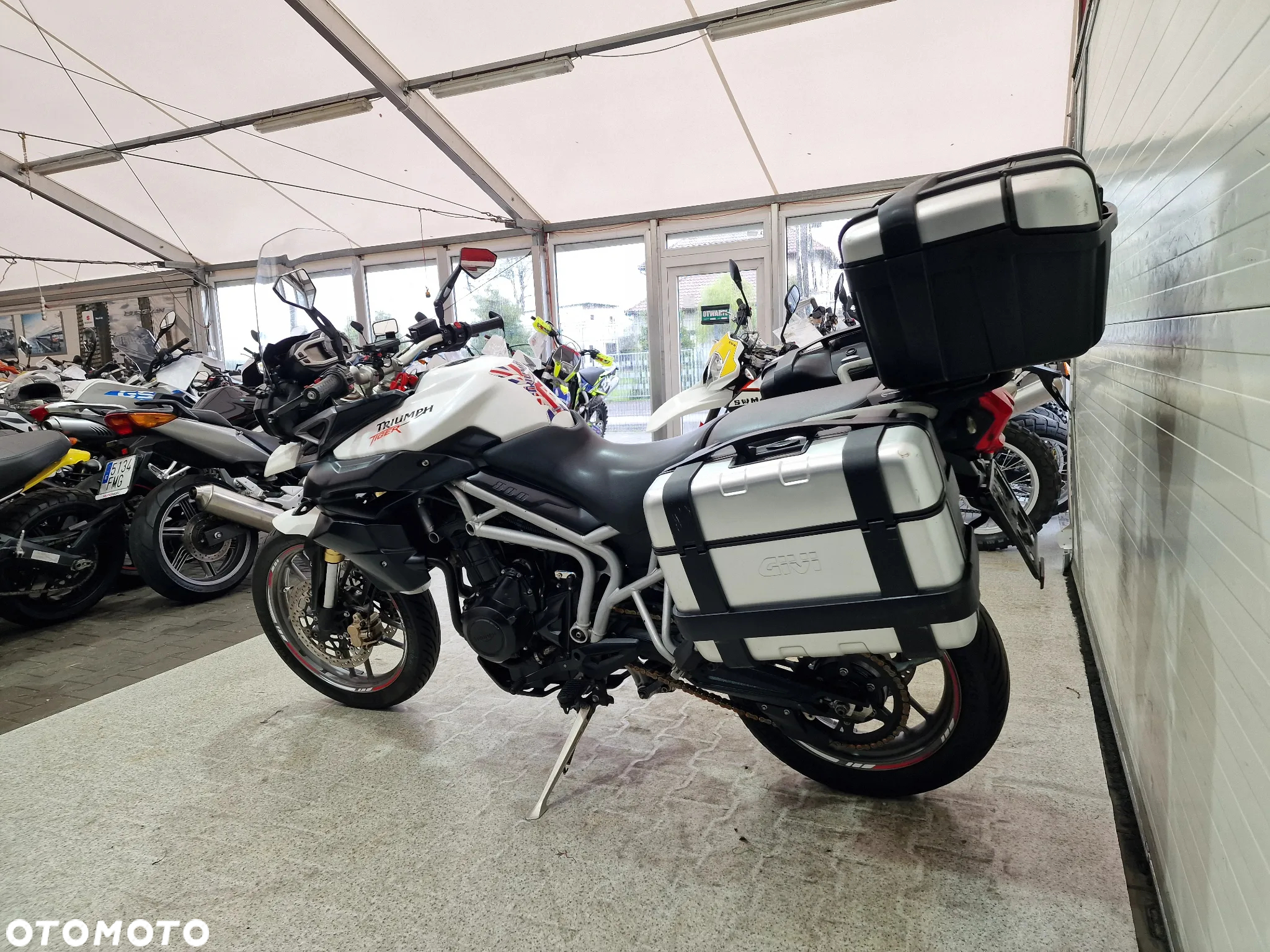 Triumph Tiger - 22