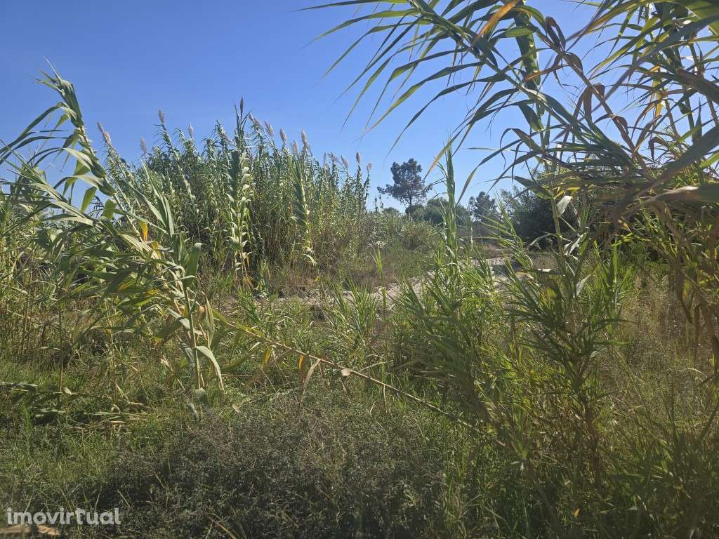 Terreno Rústico - Grande imagem: 4/5