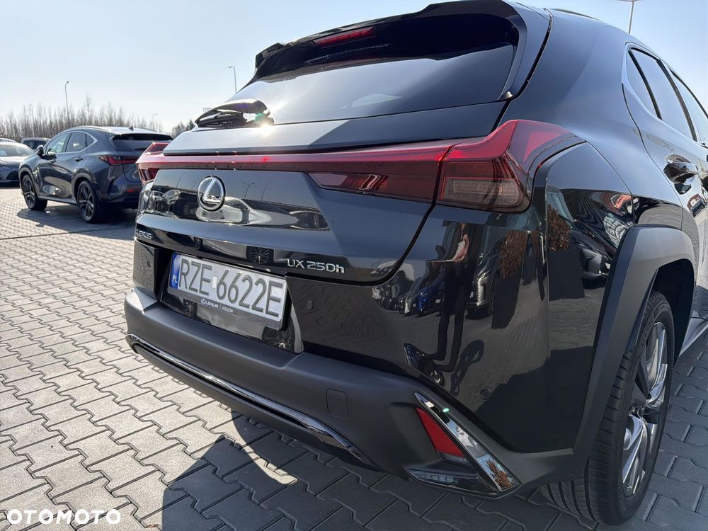 Lexus UX 250h GPF F Sport Design 2WD - 29