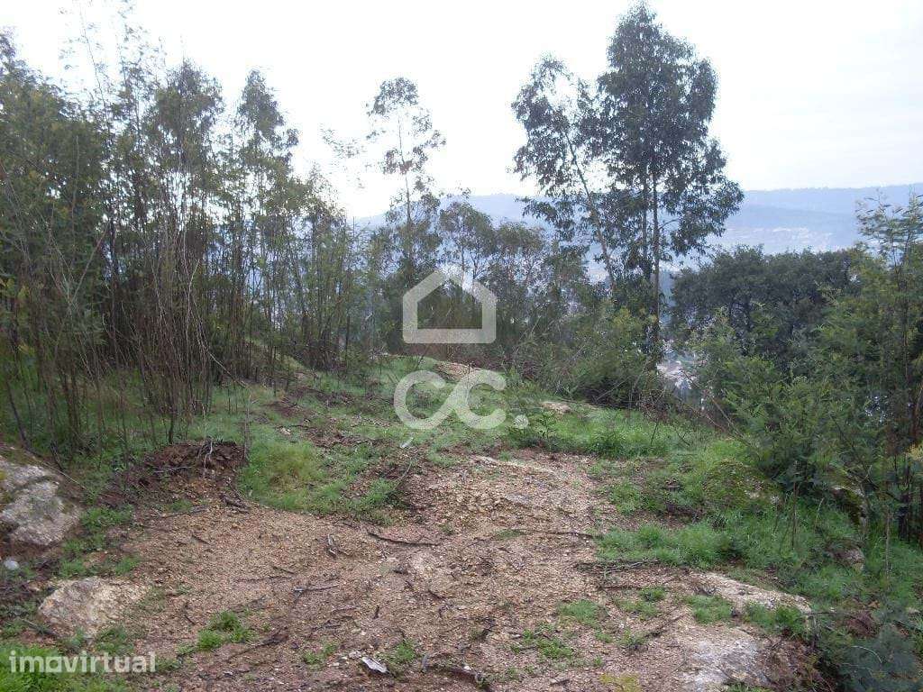 Terreno para moradia - Terreno Construção - Grande imagem: 5/6