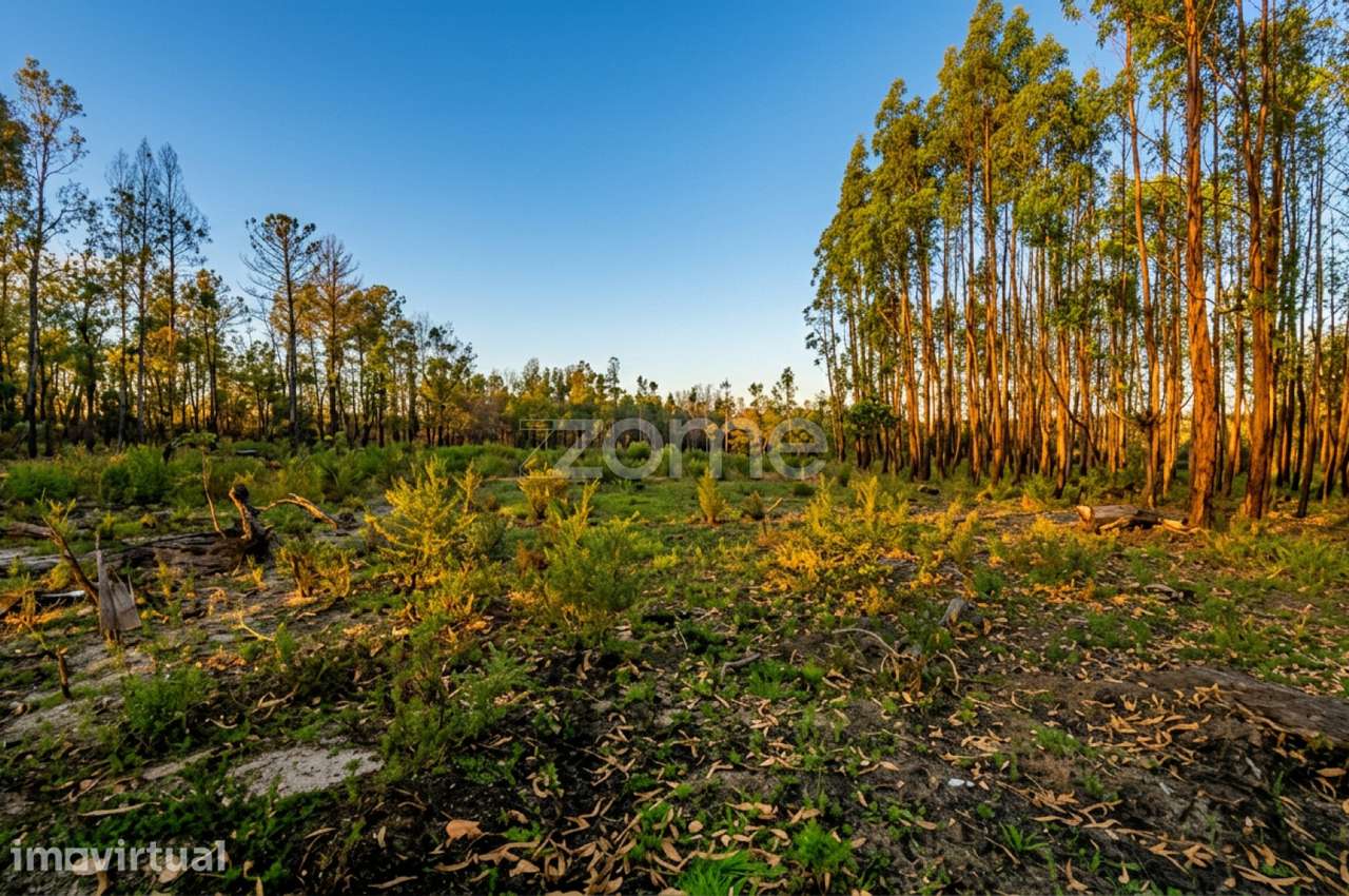 Terreno urbano + rústico com 2.472 m² – projeto ideal para moradia