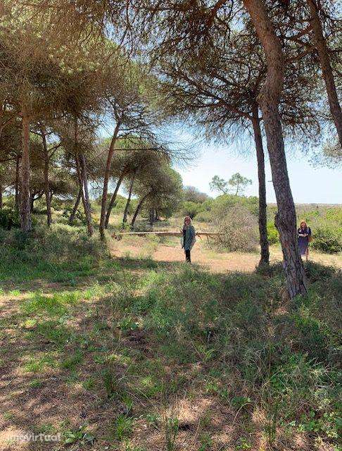 Terreno Quinta Do Lago - Grande imagem: 4/6