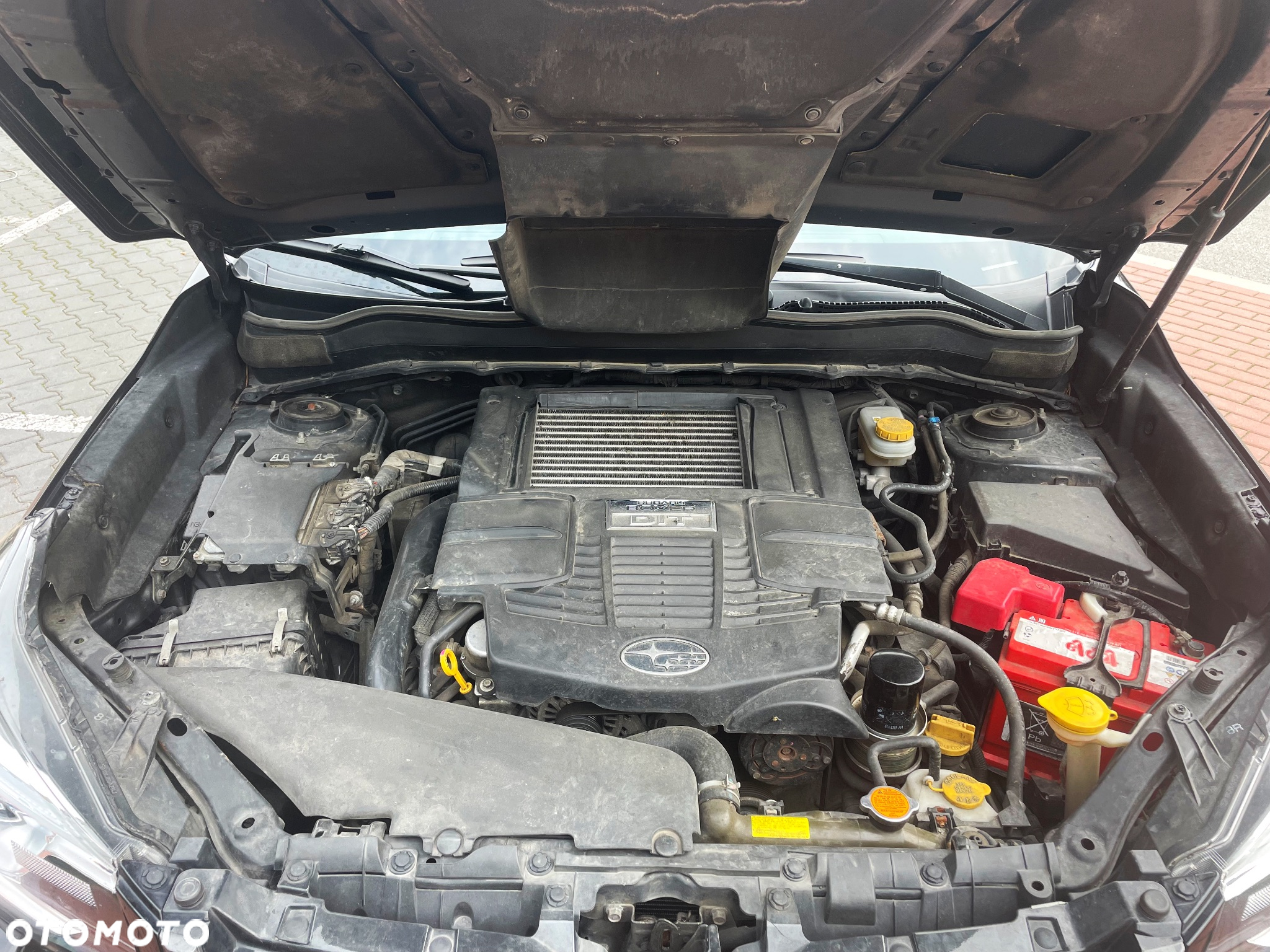 Subaru Forester 2.0 XT Platinum Lineartronic - 13