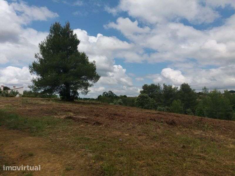 Vende -se Terreno Rústico em Romeira