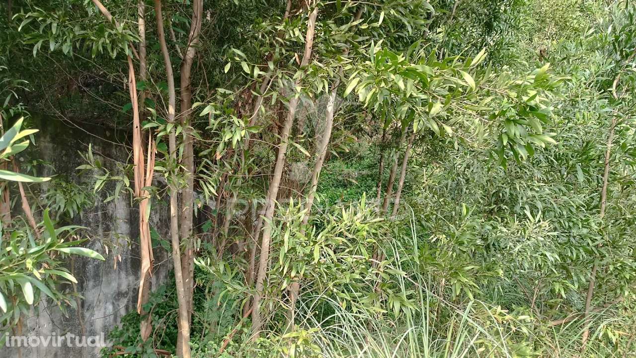 ? Terreno para o Seu Novo Lar, Junto ao Douro! ? - Grande imagem: 5/11