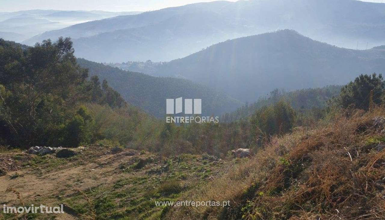 Venda Terreno,Tresouras, Baião - Grande imagem: 5/13
