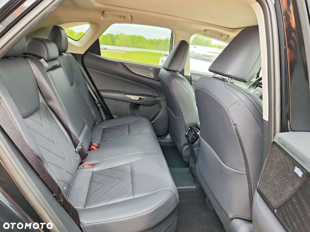 Lexus NX - 12