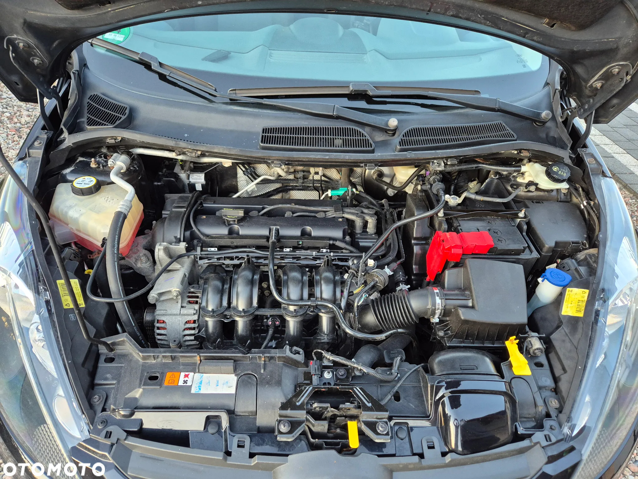 Ford Fiesta 1.25 Trend - 30