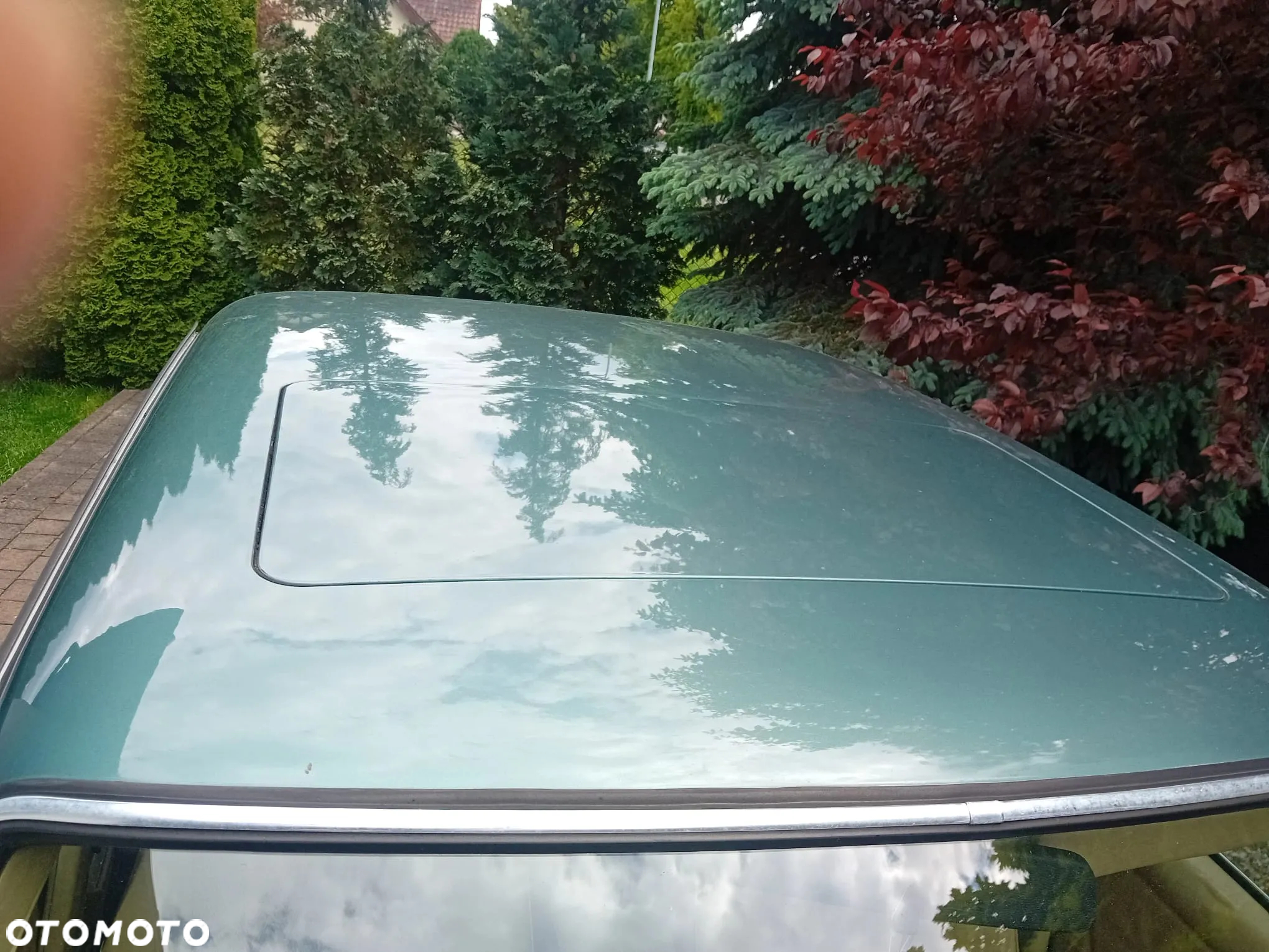 Mercedes-Benz W123 - 9