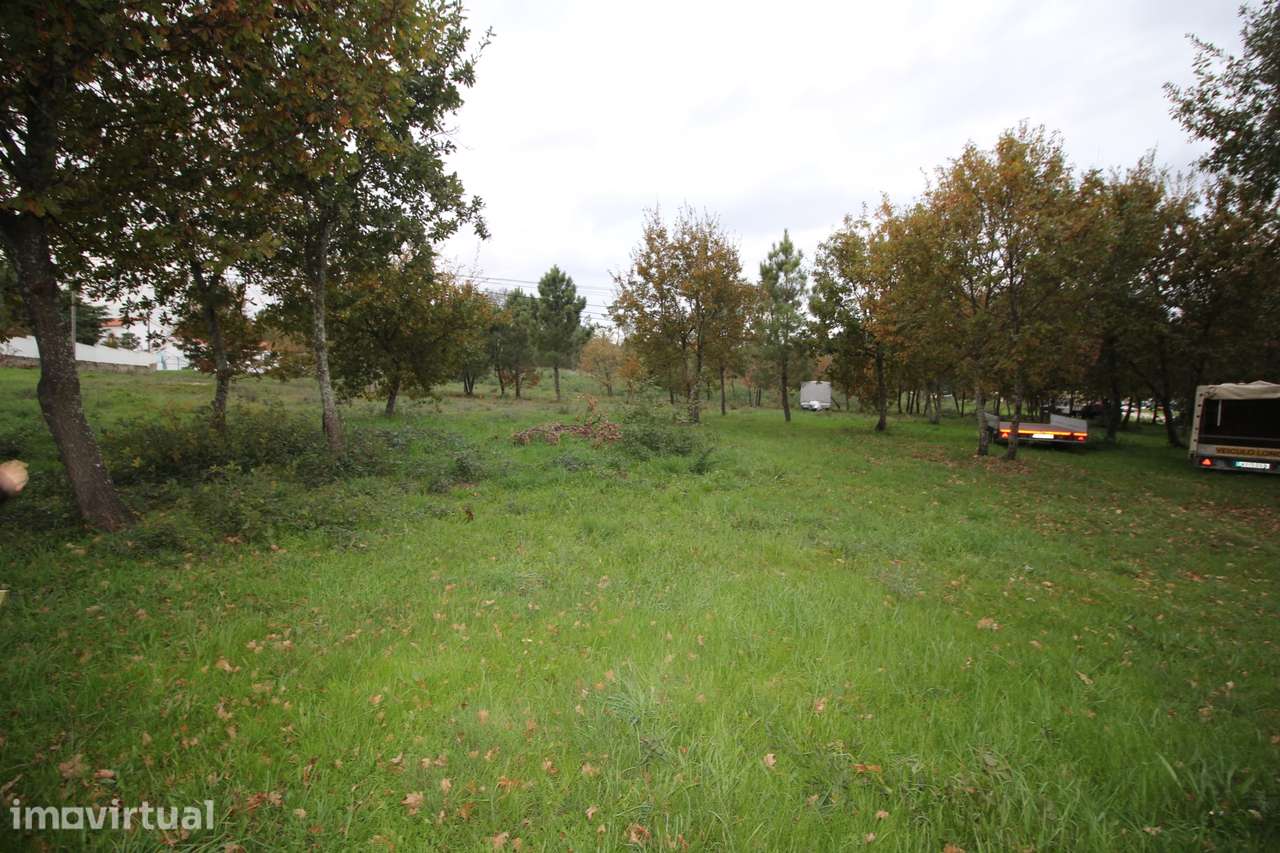 Terreno para Venda em Aldeia de Rãs, Sátão, Viseu -  Potencial Único e - Grande imagem: 5/14