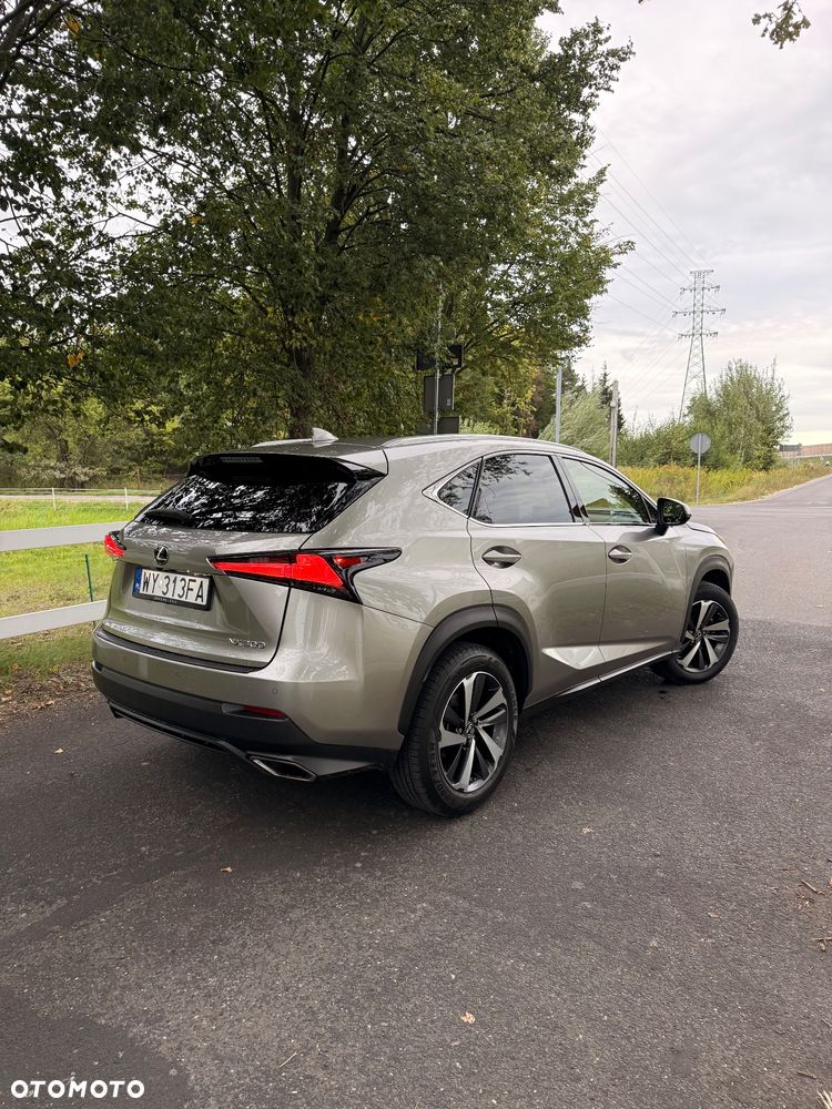 Lexus NX 300 Omotenashi AWD - 4