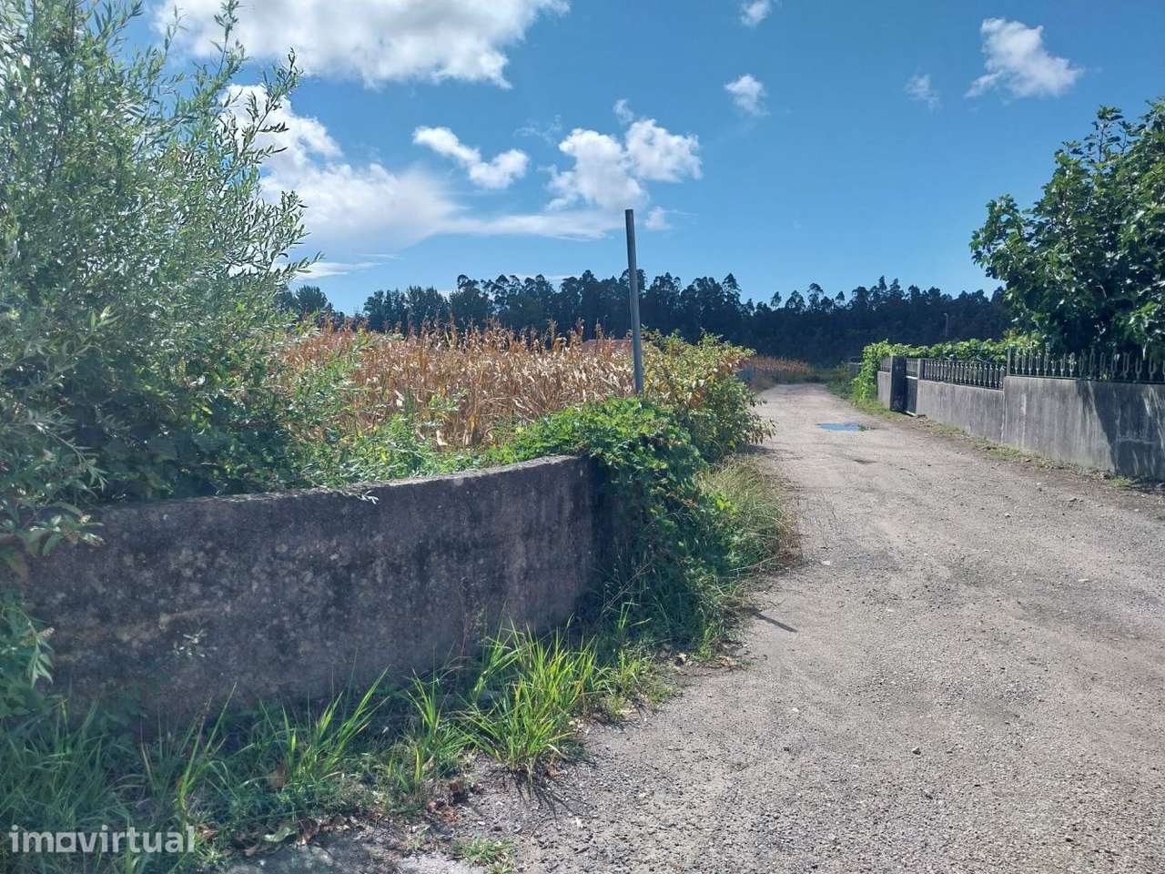 Terreno em Válega – 2.776 m² - Grande imagem: 4/9