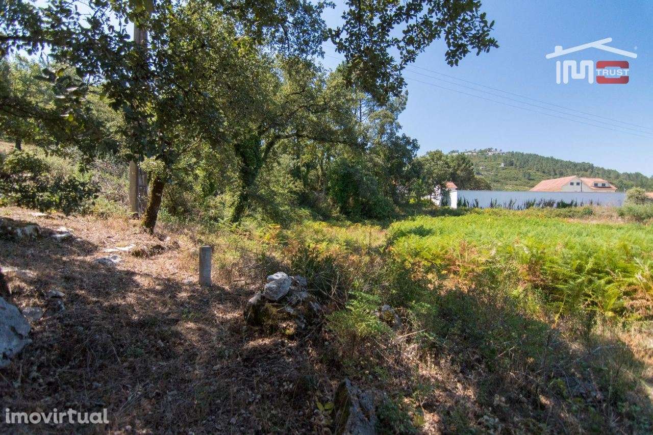 TERRENO RÚSTICO COM 1110 M2 PARA CULTIVO - Grande imagem: 2/3