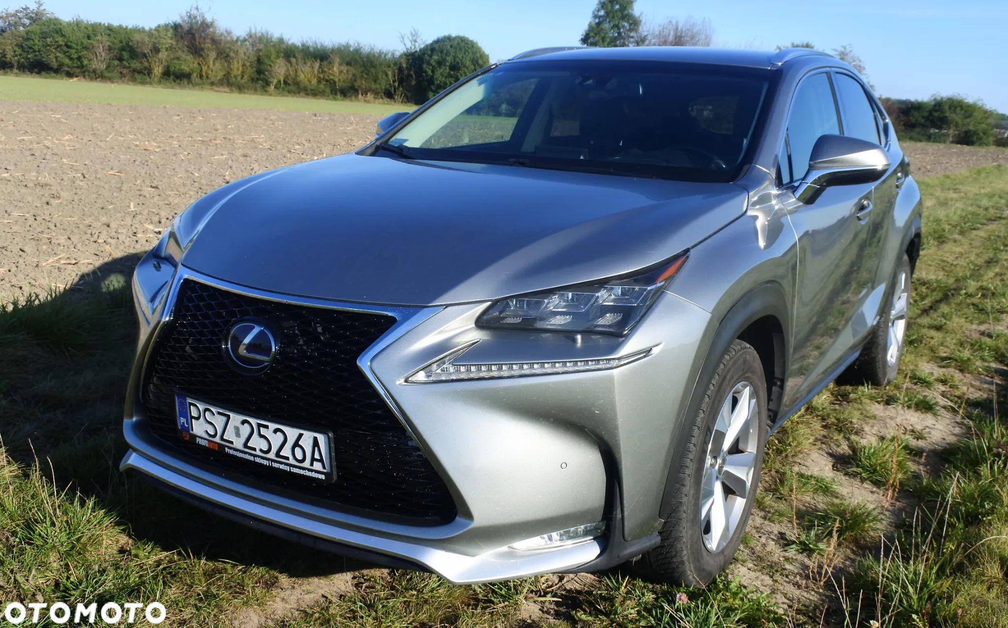 Lexus NX - 1