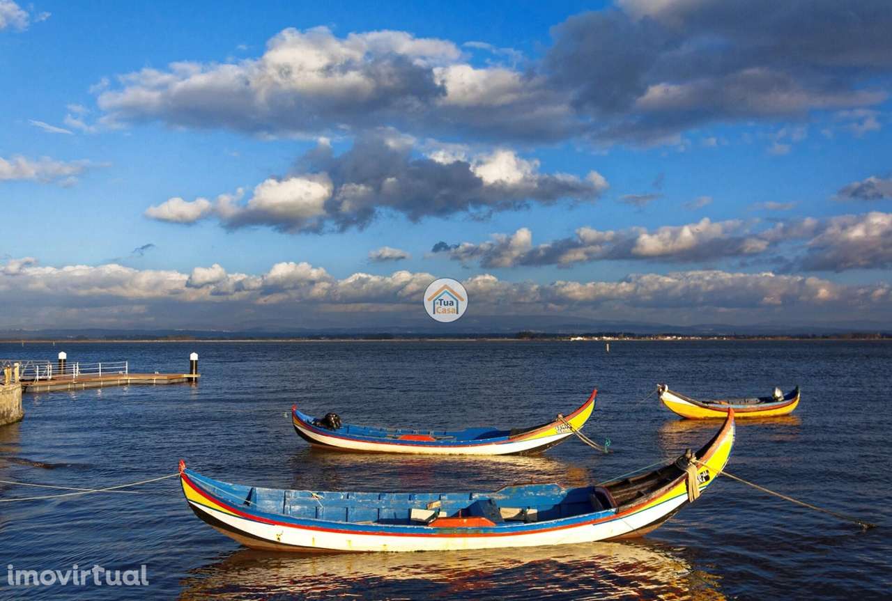 Terreno Rústico – Quinta da Gaivina | MurtosaTerreno Rústico – Quinta - Grande imagem: 2/5