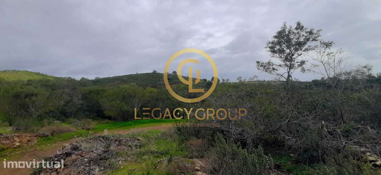 Terreno rústico com 2,11 hectares em Azinhal - Grande imagem: 3/9
